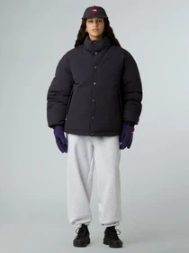 Куртки та дублянки The North Face M TNF RED BOX DOWN JACKET модель NF0A8EGB0SA1 Фото