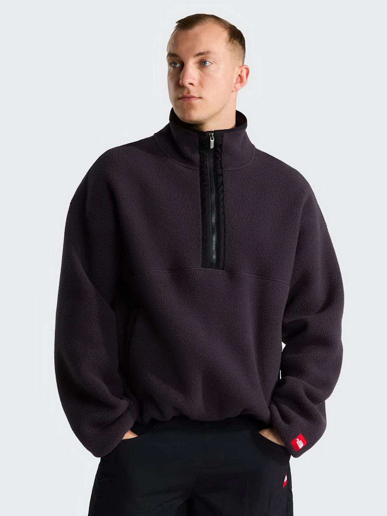 Худи и свитшоты The North Face M TNF RED BOX 1/2 ZIP FLEECE модель NF0A8EGC0SA1 Худи и свитшоты The North Face M TNF RED BOX 1/2 ZIP FLEECE модель NF0A8EGC0SA1 Фото