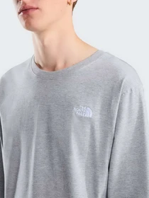 Худі та світшоти The North Face M EVOLUTION SIMPLE DOME REGULA модель NF0A8EU3CQO1 Фото