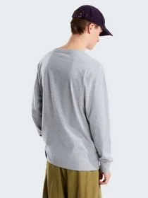 Худі та світшоти The North Face M EVOLUTION SIMPLE DOME REGULA модель NF0A8EU3CQO1 Фото