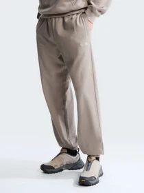 Брюки The North Face M TNF ESSENTIAL TERRY SIMPLE D модель NF0A8FDF2MB1 Фото
