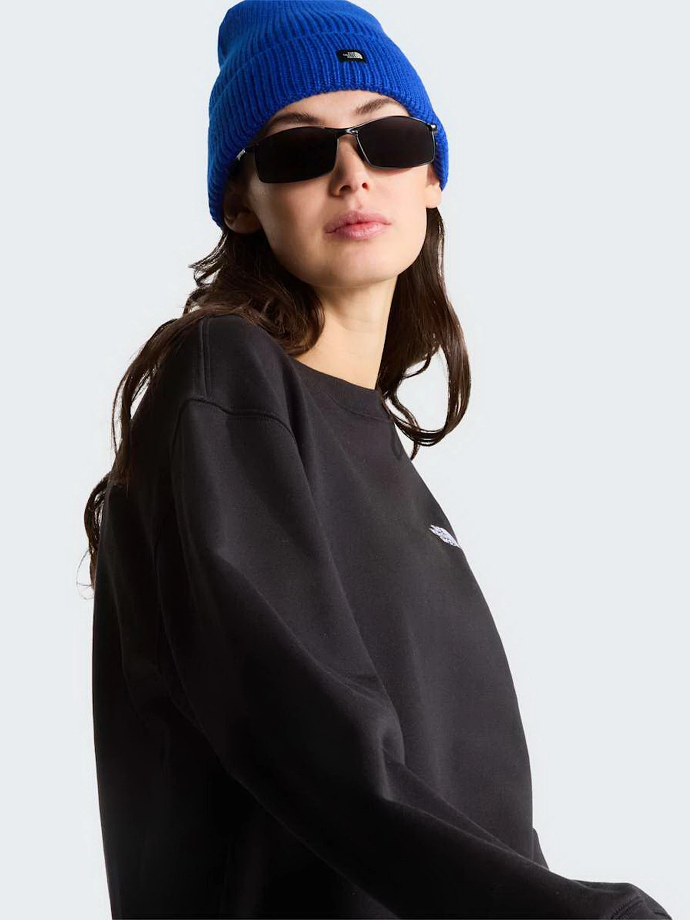 Штани The North Face W TNF ESSENTIAL TERRY SIMPLE D модель NF0A8FDSJK31 Фото