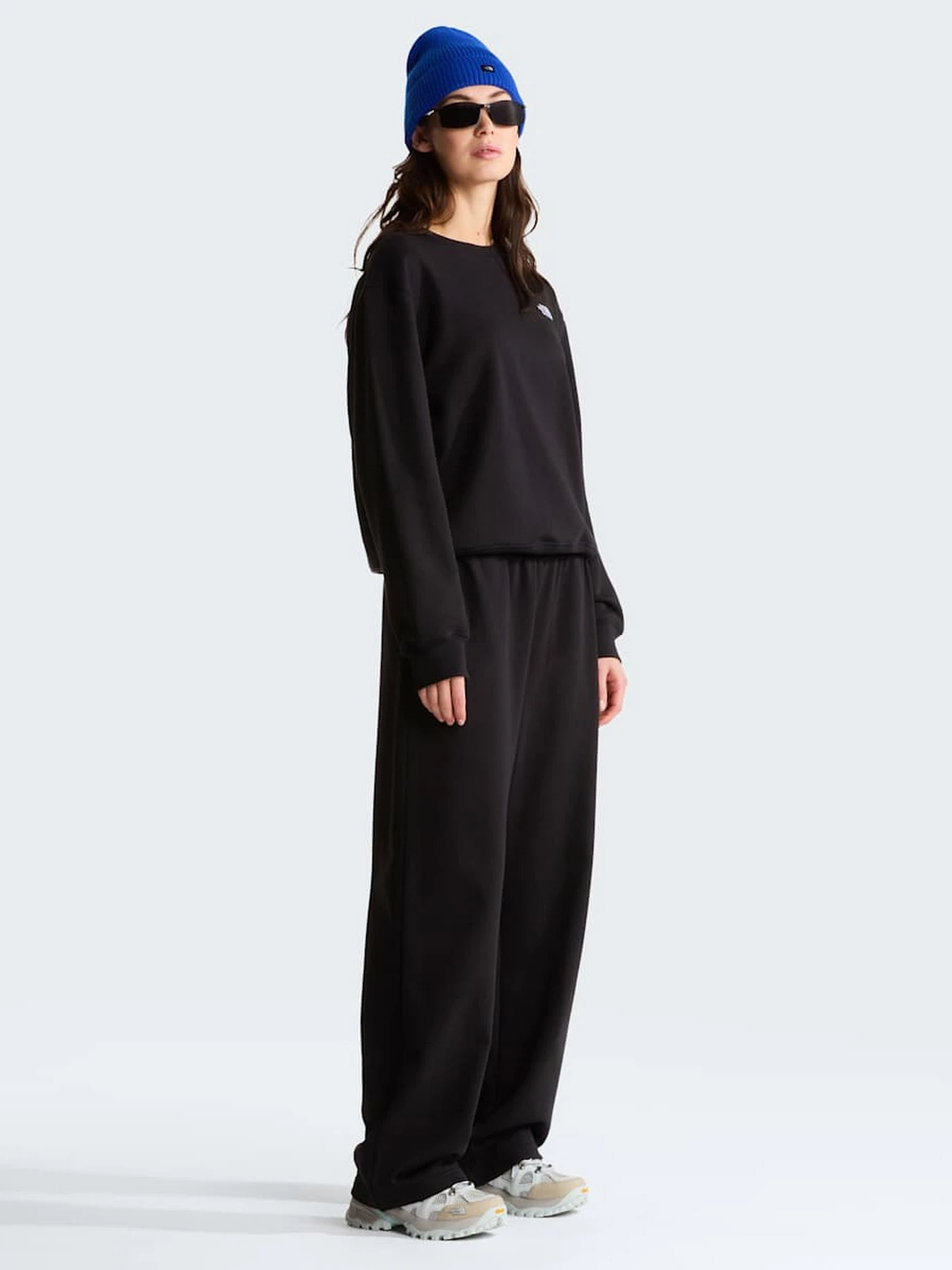 Штани The North Face W TNF ESSENTIAL TERRY SIMPLE D модель NF0A8FDSJK31 Фото