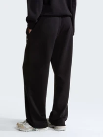 Штани The North Face W TNF ESSENTIAL TERRY SIMPLE D модель NF0A8FDSJK31 Фото