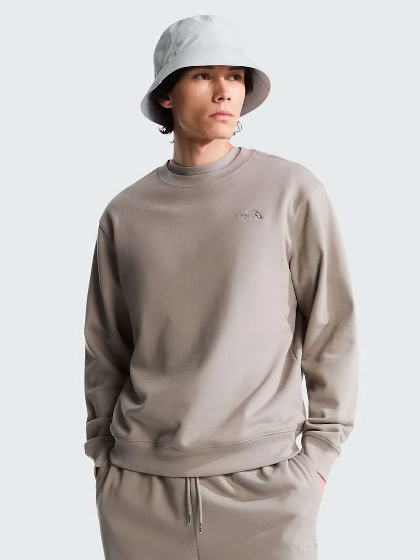 Худи и свитшоты The North Face M TNF ESSENTIAL TERRY SIMPLE D модель NF0A8FXA2MB1 Фото
