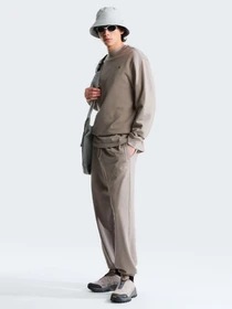 Худи и свитшоты The North Face M TNF ESSENTIAL TERRY SIMPLE D модель NF0A8FXA2MB1 Фото