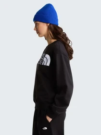Худі та світшоти The North Face W TNF ESSENTIAL TERRY SIMPLE D модель NF0A8FXDJK31 Фото
