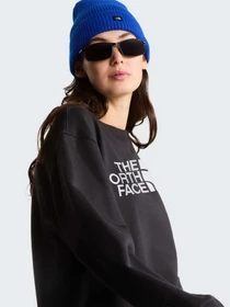 Худі та світшоти The North Face W TNF ESSENTIAL TERRY SIMPLE D модель NF0A8FXDJK31 Фото