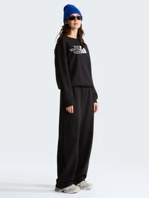 Худі та світшоти The North Face W TNF ESSENTIAL TERRY SIMPLE D модель NF0A8FXDJK31 Фото