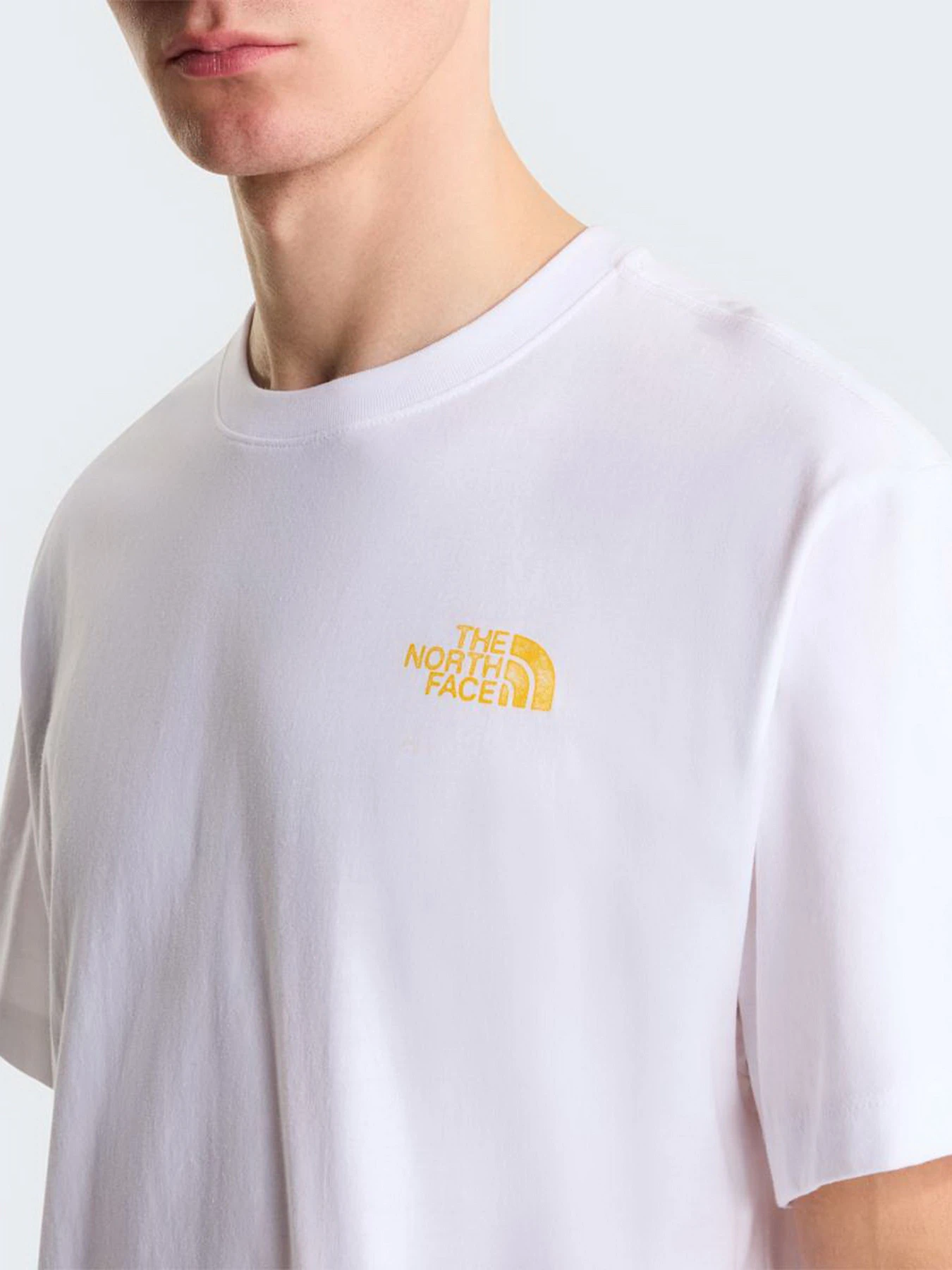 Футболки и поло The North Face M PITCH A TENT RELAXED SHORT S модель NF0A8H59FN41 Футболки и поло The North Face M PITCH A TENT RELAXED SHORT S модель NF0A8H59FN41 Фото