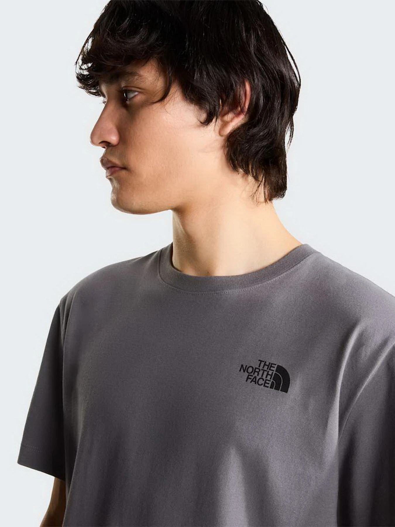 Футболки и поло The North Face U 60TH ANNIVERSARY 2 RELAXED S модель NF0A8H6A0UZ1 Футболки и поло The North Face U 60TH ANNIVERSARY 2 RELAXED S модель NF0A8H6A0UZ1 Фото