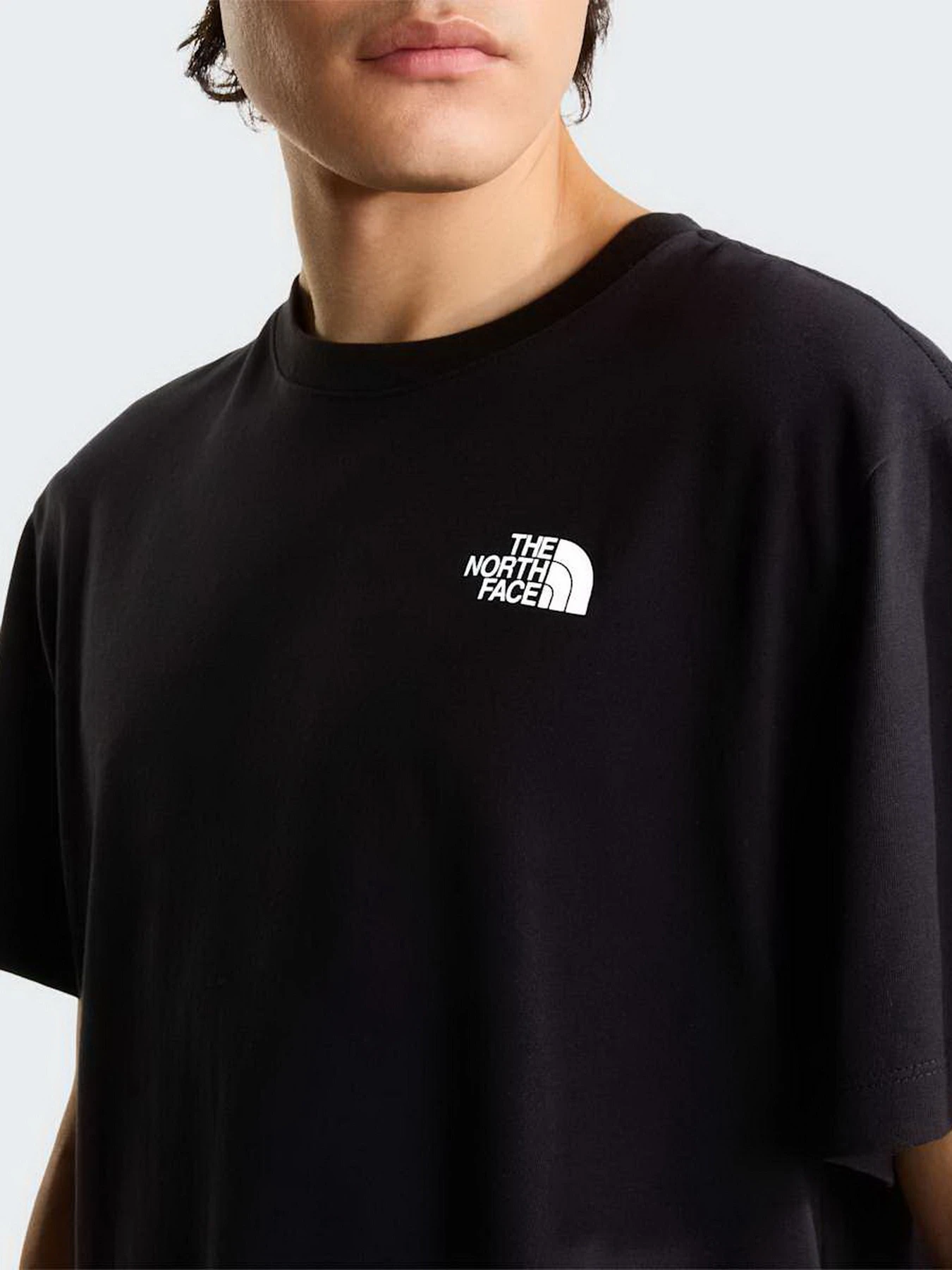 Футболки и поло The North Face U 60TH ANNIVERSARY 2 RELAXED S модель NF0A8H6AJK31 Футболки и поло The North Face U 60TH ANNIVERSARY 2 RELAXED S модель NF0A8H6AJK31 Фото