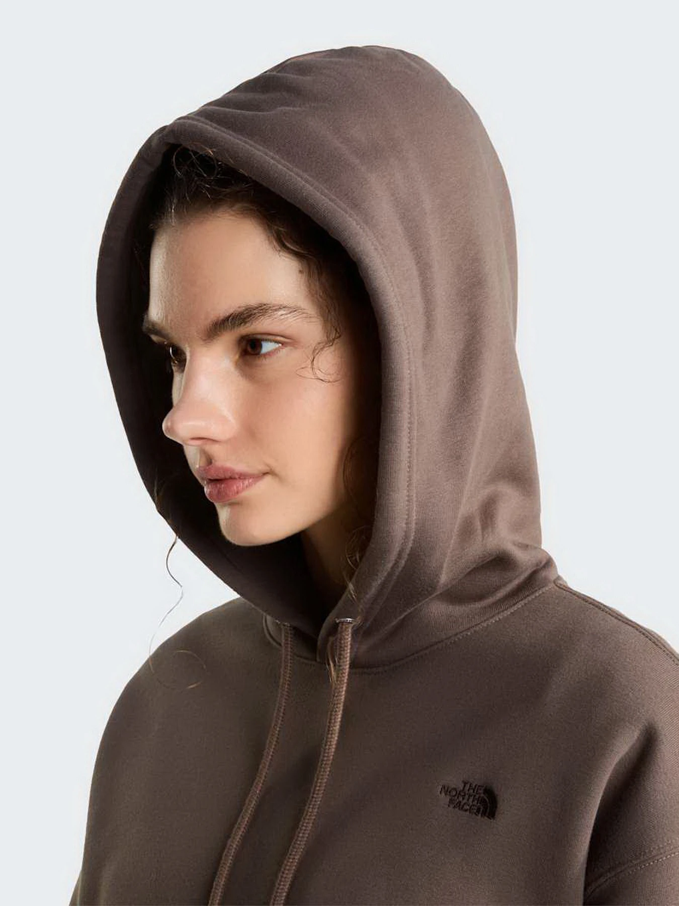 Худи и свитшоты The North Face W TNF ESSENTIAL SIMPLE DOME BO модель NF0A8HBX1OI1 Фото