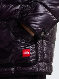 Куртки и дубленки The North Face M TNF RED BOX LINER JACKET модель NF0A8HDHUX91 Фото