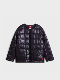 Куртки и дубленки The North Face M TNF RED BOX LINER JACKET модель NF0A8HDHUX91 Фото
