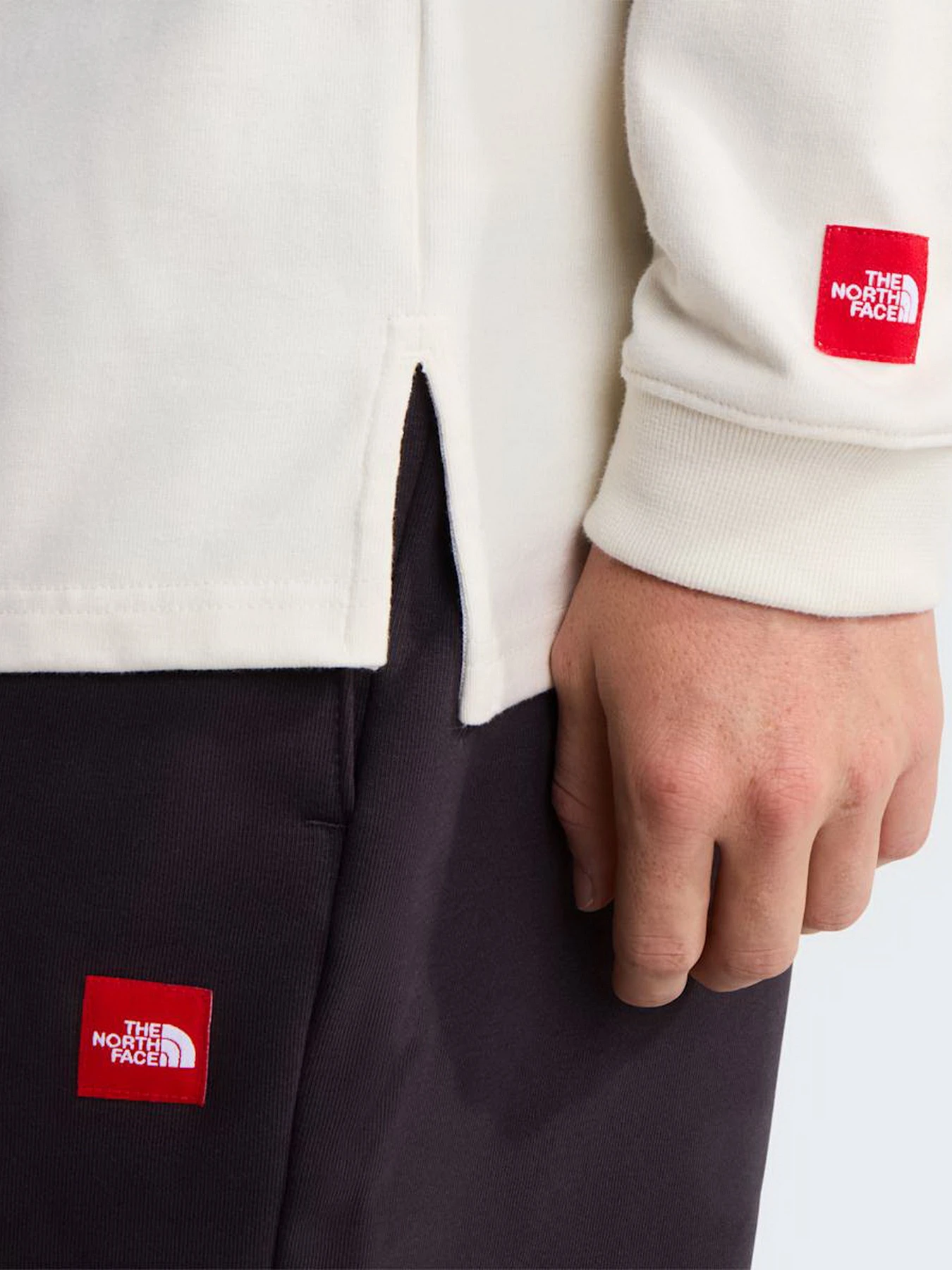 Худи и свитшоты The North Face M TNF RED BOX RUGBY SHIRT модель NF0A8HDWQLI1 Фото