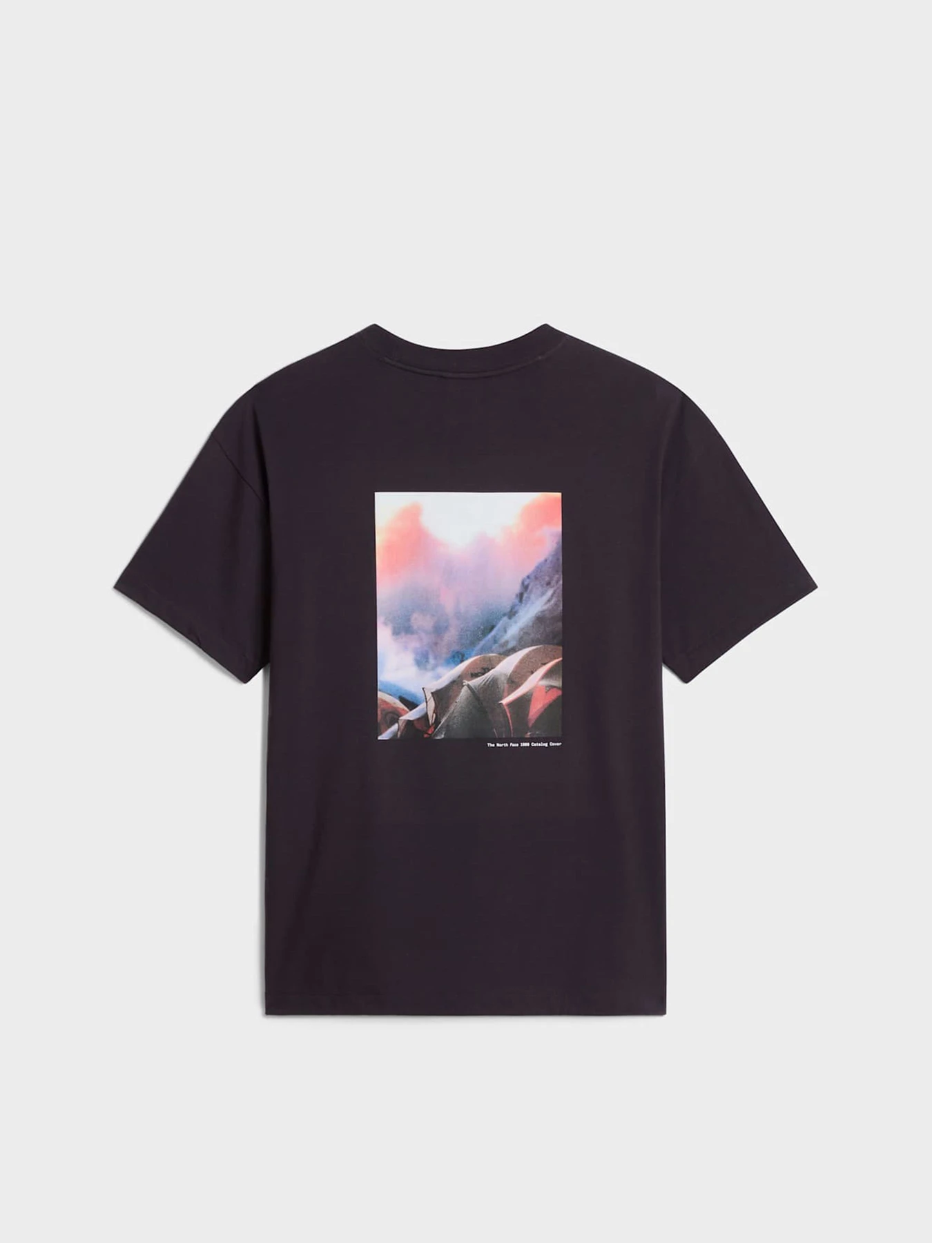 Футболки и поло The North Face M TNF RED BOX GRAPHIC S/S TEE модель NF0A8HFY0SA1 Фото