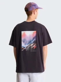 Футболки и поло The North Face M TNF RED BOX GRAPHIC S/S TEE модель NF0A8HFY0SA1 Фото