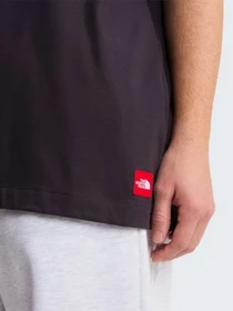 Футболки и поло The North Face M TNF RED BOX GRAPHIC S/S TEE модель NF0A8HFY0SA1 Фото