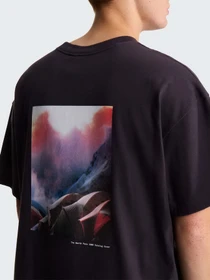 Футболки и поло The North Face M TNF RED BOX GRAPHIC S/S TEE модель NF0A8HFY0SA1 Фото