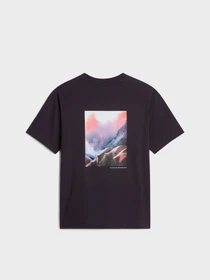 Футболки и поло The North Face M TNF RED BOX GRAPHIC S/S TEE модель NF0A8HFY0SA1 Фото