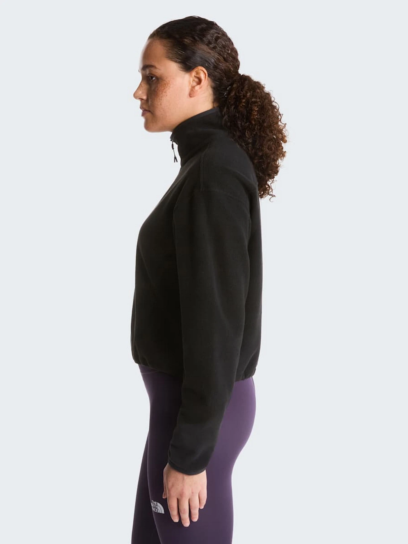 Худи и свитшоты The North Face W NOVELTY LOGO GLACIER 1/4 ZIP модель NF0A8J3ZJK31 Фото