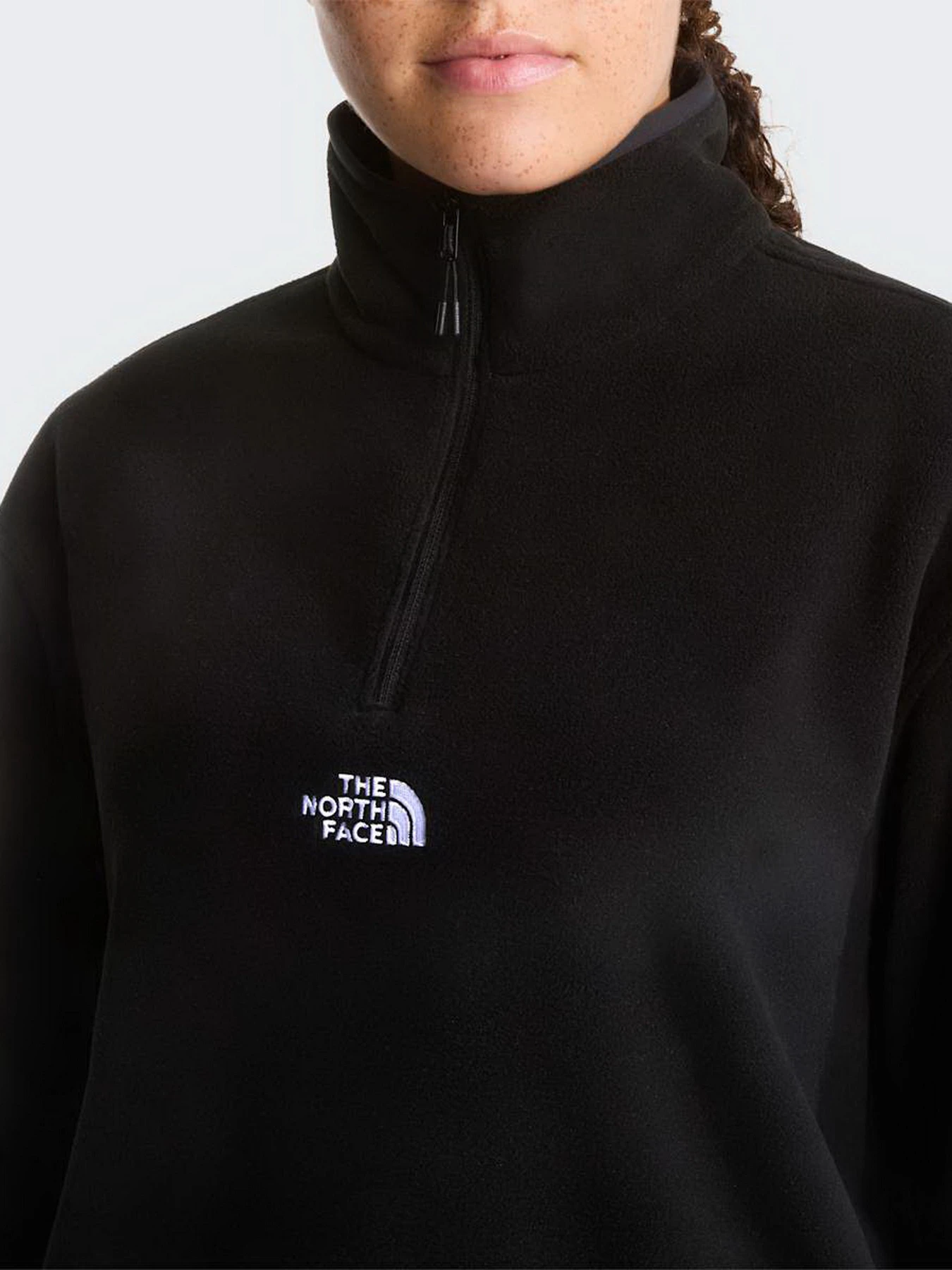Худи и свитшоты The North Face W NOVELTY LOGO GLACIER 1/4 ZIP модель NF0A8J3ZJK31 Фото