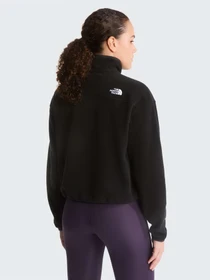 Худи и свитшоты The North Face W NOVELTY LOGO GLACIER 1/4 ZIP модель NF0A8J3ZJK31 Фото