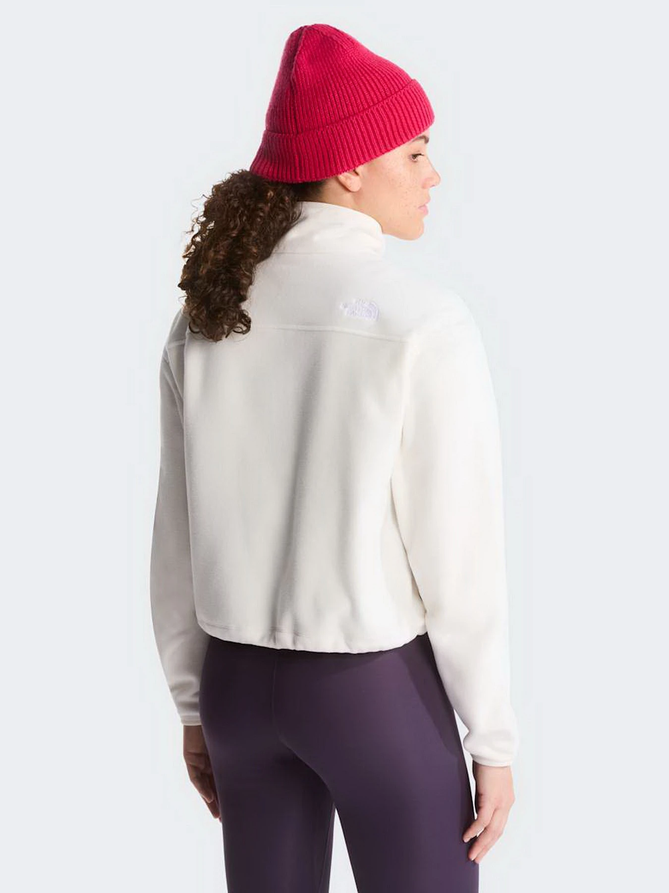 Худи и свитшоты The North Face W NOVELTY LOGO GLACIER 1/4 ZIP модель NF0A8J3ZQLI1 Фото