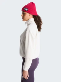 Худи и свитшоты The North Face W NOVELTY LOGO GLACIER 1/4 ZIP модель NF0A8J3ZQLI1 Фото