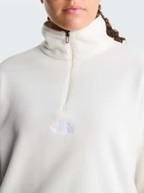Худи и свитшоты The North Face W NOVELTY LOGO GLACIER 1/4 ZIP модель NF0A8J3ZQLI1 Фото