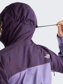 Куртки та дублянки The North Face W DRYVENT ZIP-IN JACKET модель NF0A8J6AS631 Фото