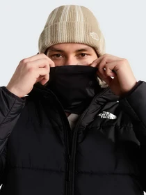 Куртки и дубленки The North Face M NSE HOODED MASK JACKET модель NF0A8J6CJK31 Фото