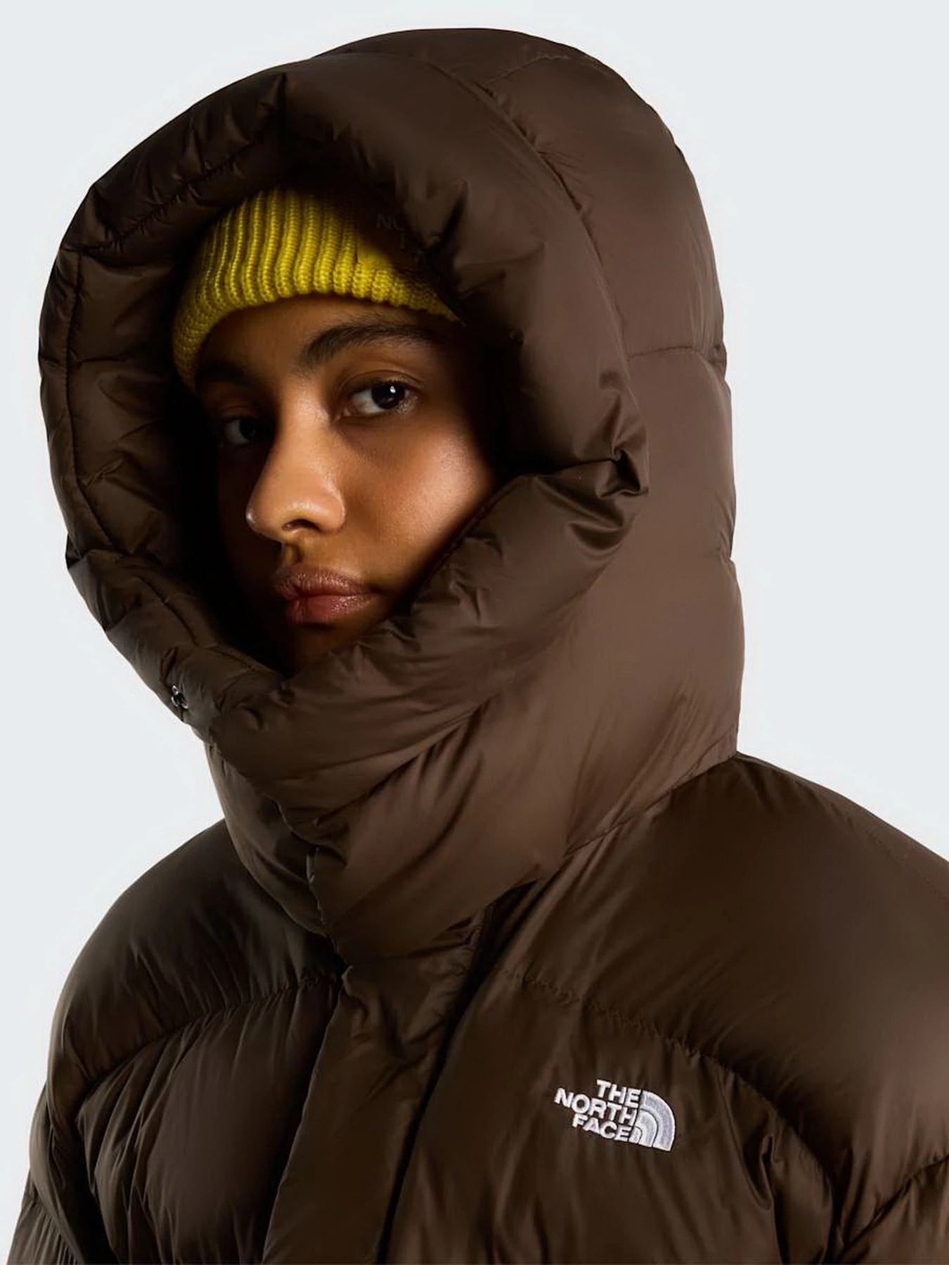 Куртки и дубленки The North Face W PUFFER OVERSIZED JACKET модель NF0A8J6HNMF1 Куртки и дубленки The North Face W PUFFER OVERSIZED JACKET модель NF0A8J6HNMF1 Фото