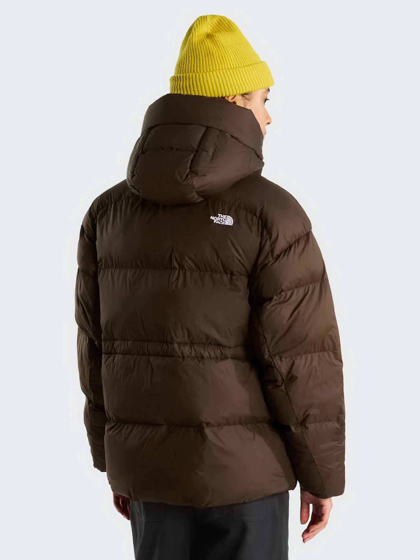 Куртки и дубленки The North Face W PUFFER OVERSIZED JACKET модель NF0A8J6HNMF1 Куртки и дубленки The North Face W PUFFER OVERSIZED JACKET модель NF0A8J6HNMF1 Фото
