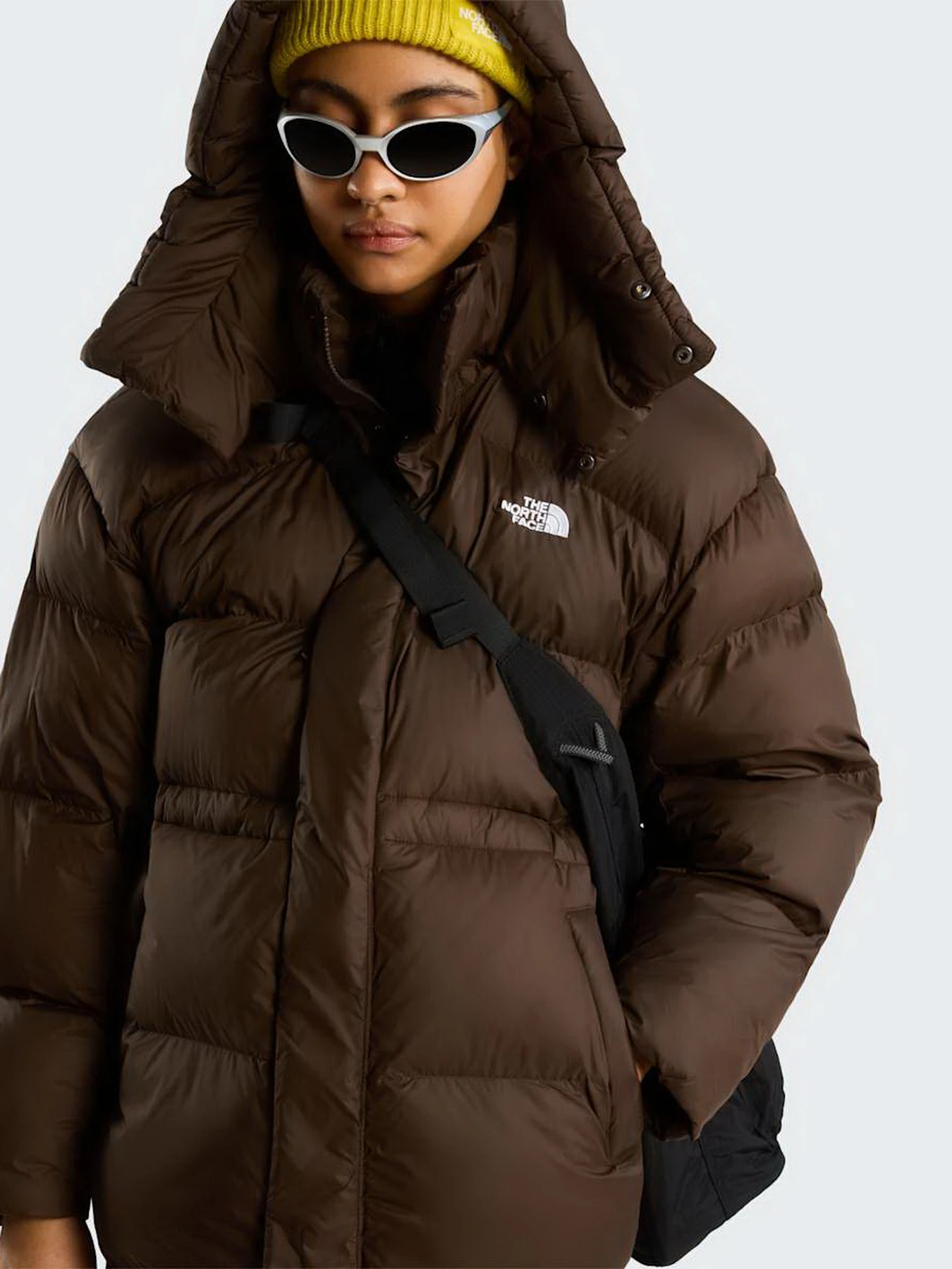 Куртки и дубленки The North Face W PUFFER OVERSIZED JACKET модель NF0A8J6HNMF1 Куртки и дубленки The North Face W PUFFER OVERSIZED JACKET модель NF0A8J6HNMF1 Фото