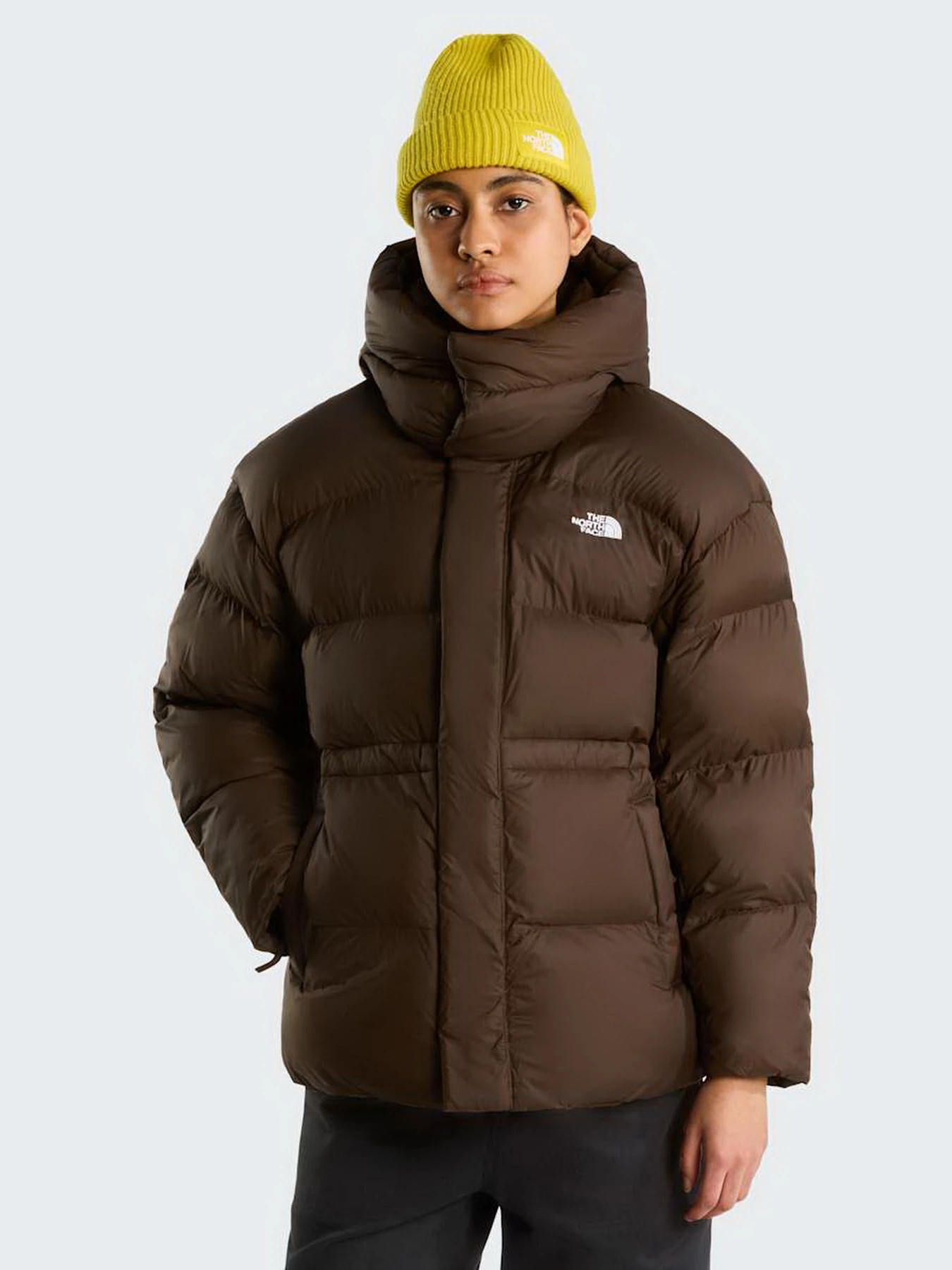 Куртки и дубленки The North Face W PUFFER OVERSIZED JACKET модель NF0A8J6HNMF1 Куртки и дубленки The North Face W PUFFER OVERSIZED JACKET модель NF0A8J6HNMF1 Фото