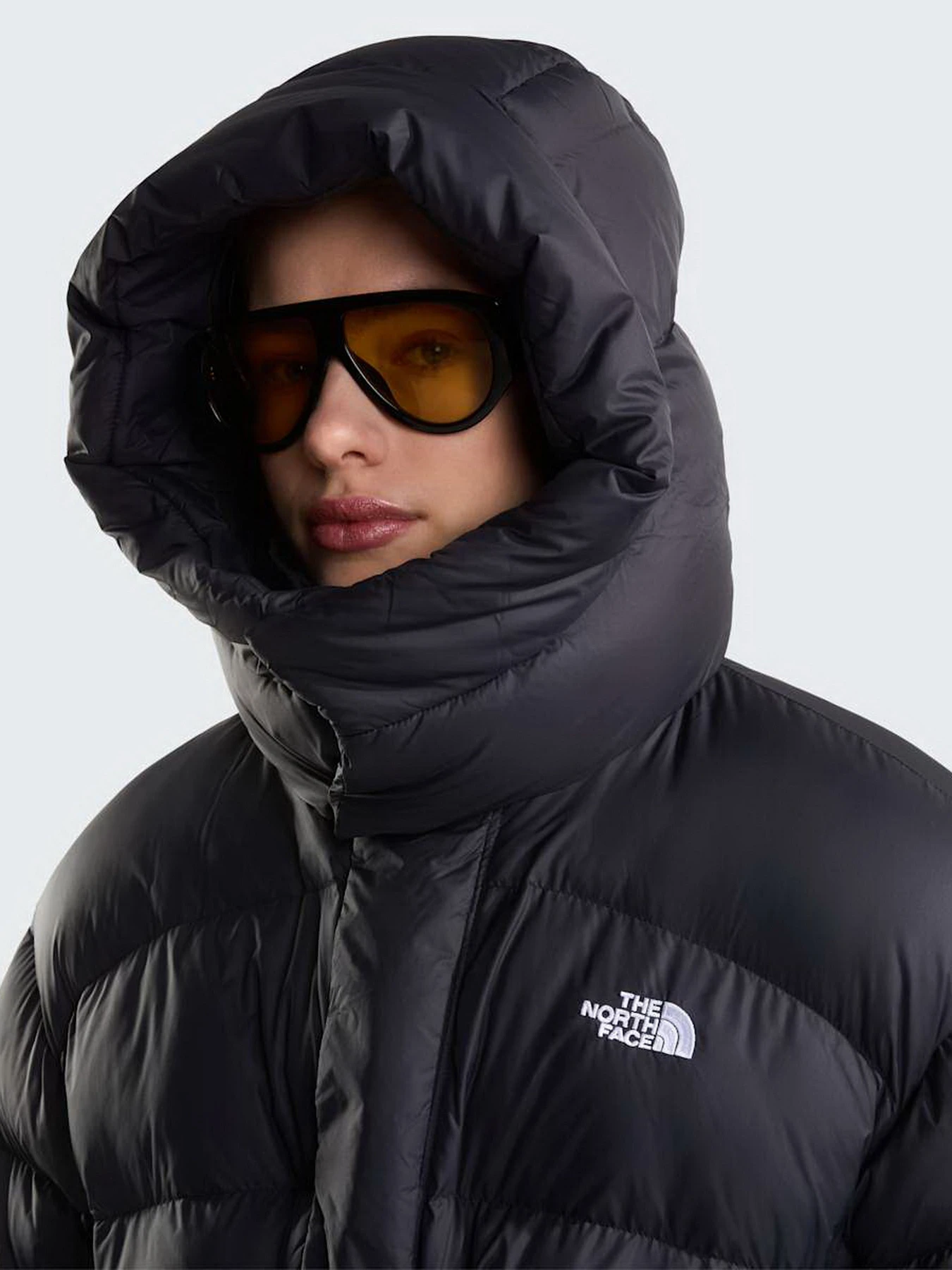 Куртки и дубленки The North Face W PUFFER OVERSIZED JACKET модель NF0A8J6HJK31 Куртки и дубленки The North Face W PUFFER OVERSIZED JACKET модель NF0A8J6HJK31 Фото