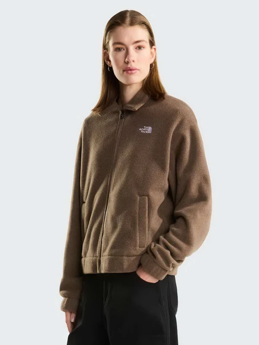 Худи и свитшоты The North Face W FLEECE COLLARED JACKET модель NF0A8J6KUS51 Фото