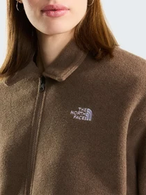 Худи и свитшоты The North Face W FLEECE COLLARED JACKET модель NF0A8J6KUS51 Фото