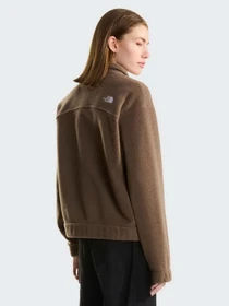 Худи и свитшоты The North Face W FLEECE COLLARED JACKET модель NF0A8J6KUS51 Фото