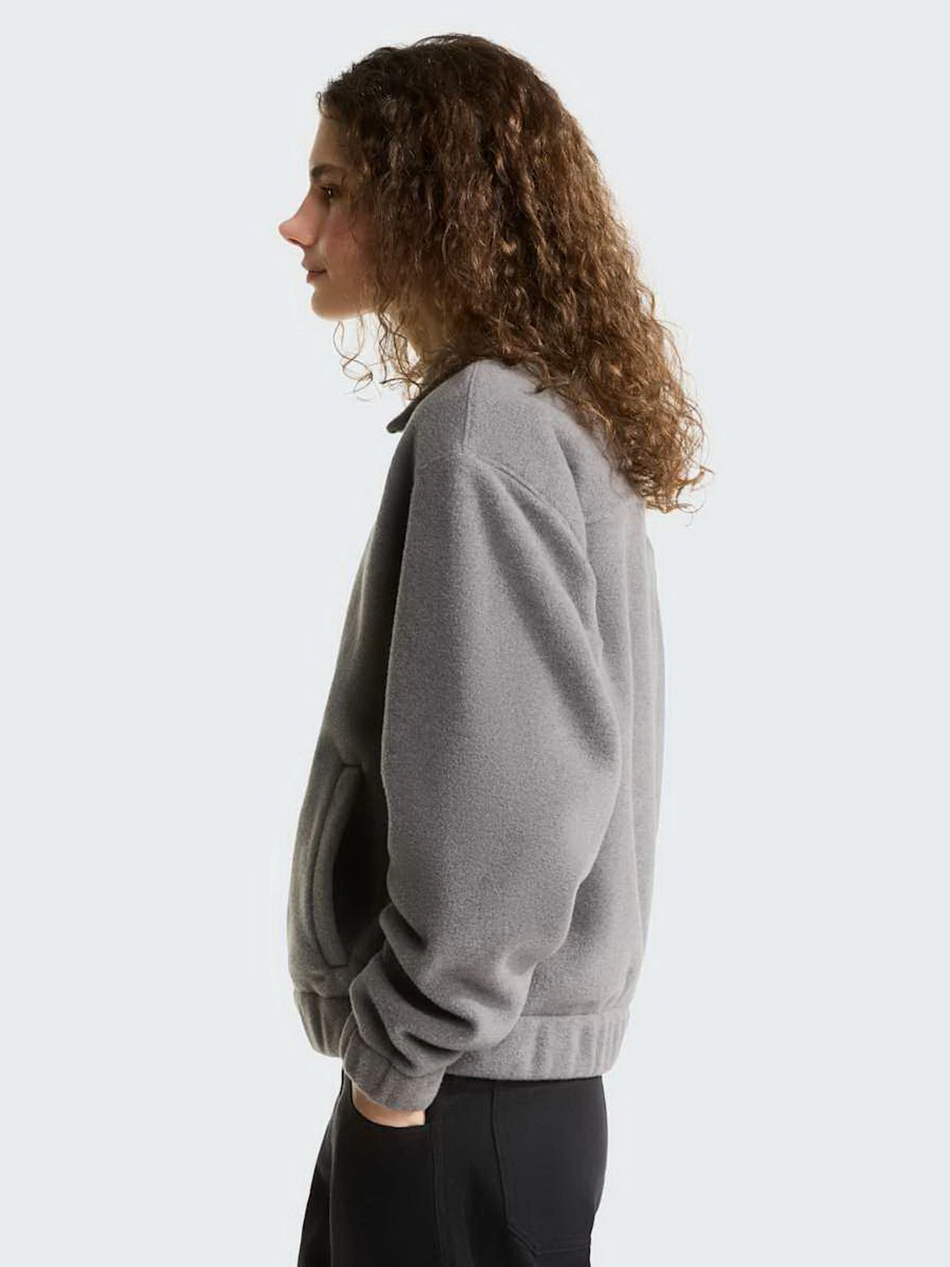 Худі та світшоти The North Face W FLEECE COLLARED JACKET модель NF0A8J6K0V21 Худі та світшоти The North Face W FLEECE COLLARED JACKET модель NF0A8J6K0V21 Фото