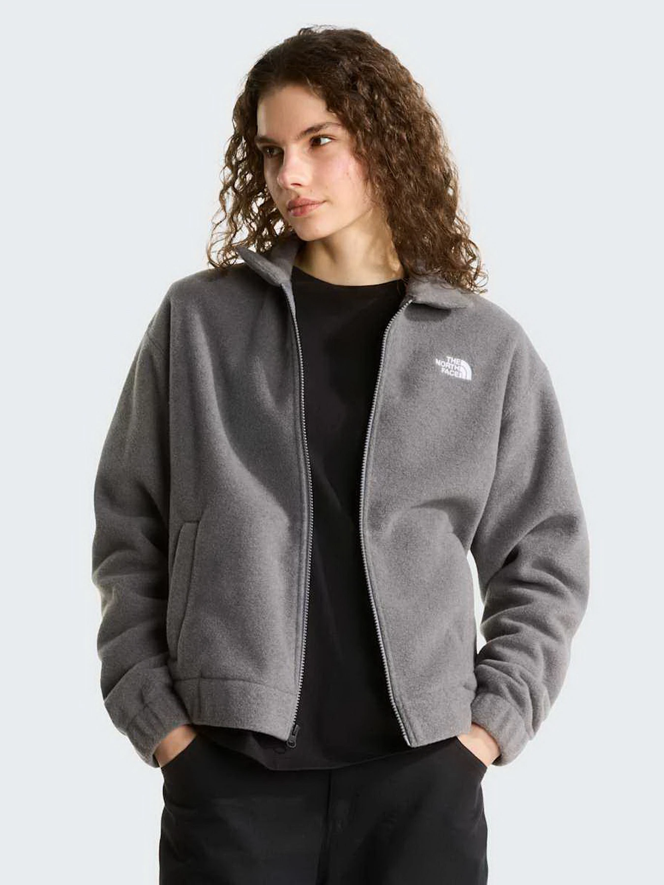 Худі та світшоти The North Face W FLEECE COLLARED JACKET модель NF0A8J6K0V21 Худі та світшоти The North Face W FLEECE COLLARED JACKET модель NF0A8J6K0V21 Фото