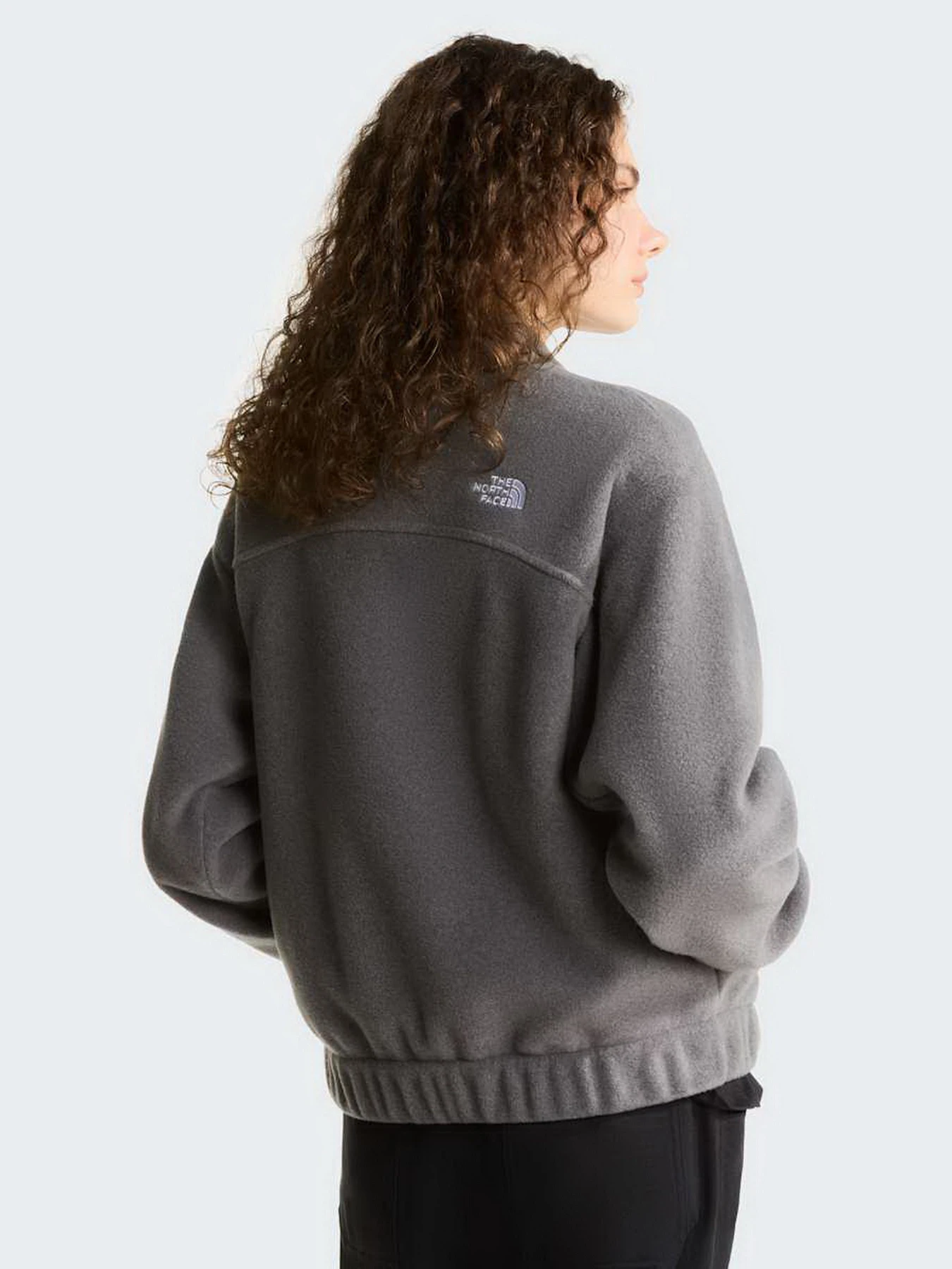 Худі та світшоти The North Face W FLEECE COLLARED JACKET модель NF0A8J6K0V21 Худі та світшоти The North Face W FLEECE COLLARED JACKET модель NF0A8J6K0V21 Фото