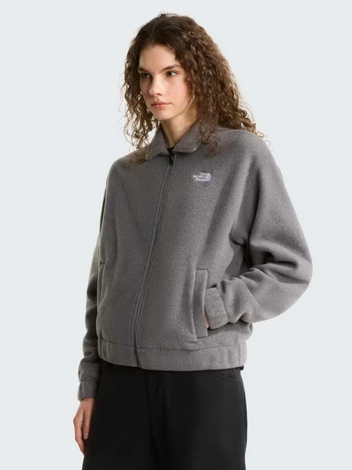 Худі та світшоти The North Face W FLEECE COLLARED JACKET модель NF0A8J6K0V21 Фото