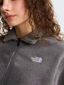Худі та світшоти The North Face W FLEECE COLLARED JACKET модель NF0A8J6K0V21 Фото