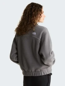Худі та світшоти The North Face W FLEECE COLLARED JACKET модель NF0A8J6K0V21 Фото