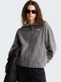 Худі та світшоти The North Face W FLEECE COLLARED JACKET модель NF0A8J6K0V21 Фото