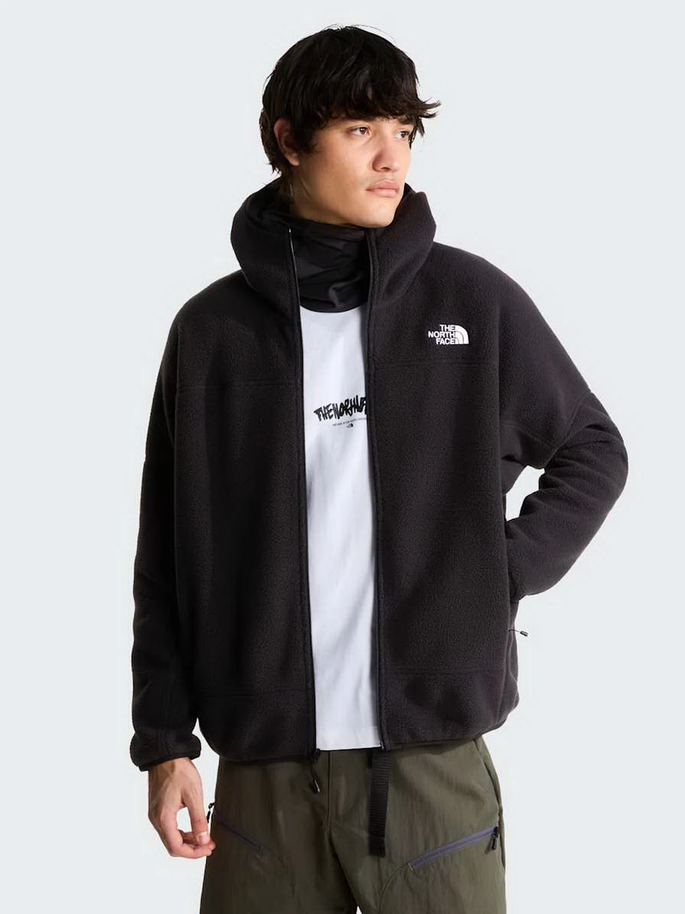 Худи и свитшоты The North Face M NSE FULL ZIP MASK FLEECE модель NF0A8J6QJK31 Фото