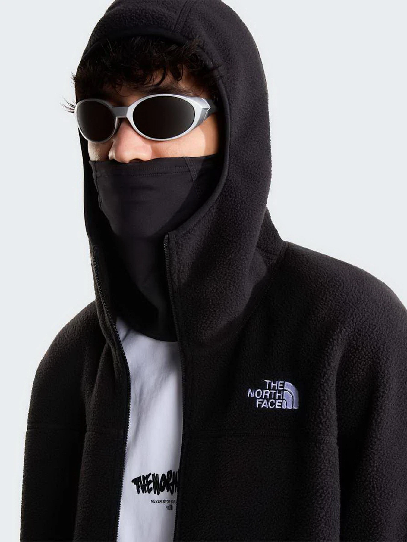 Худи и свитшоты The North Face M NSE FULL ZIP MASK FLEECE модель NF0A8J6QJK31 Фото